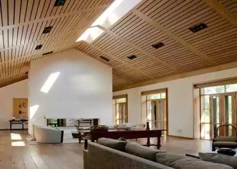 Vaulted ceiling, skylights and ridge beams